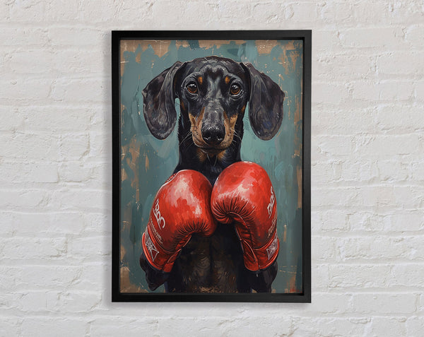 Boxing Dachshund