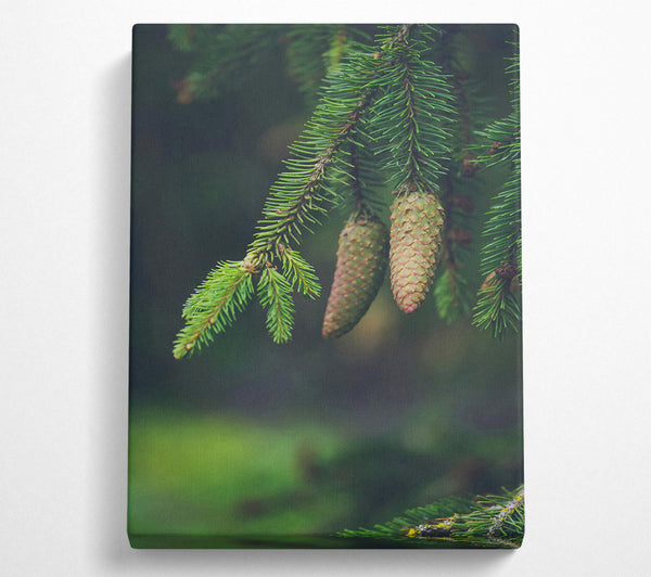 Green Pine Cones