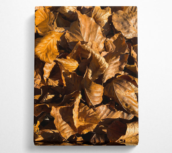 Golden Leaf Blanket