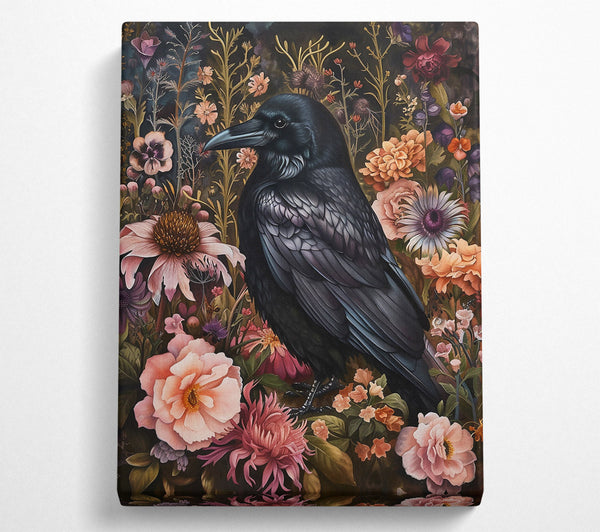 Black Raven In Bloom