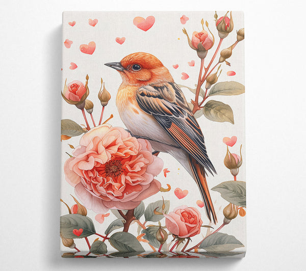 Peachy Bird Love