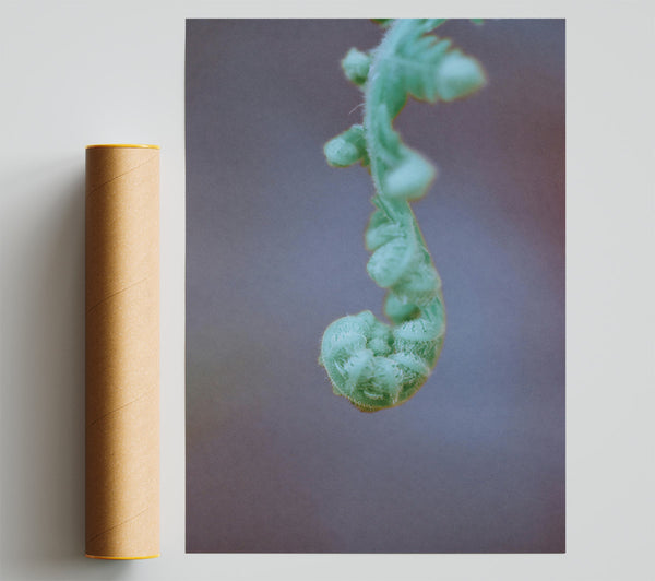 Mint Green Unfurling Fern