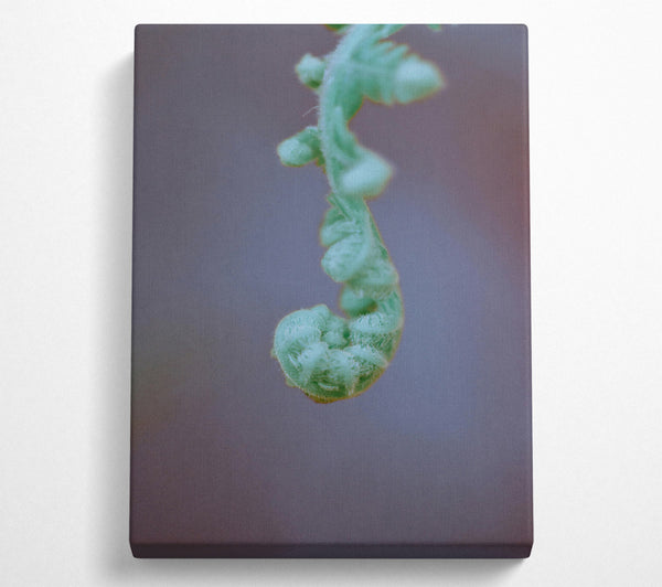 Mint Green Unfurling Fern