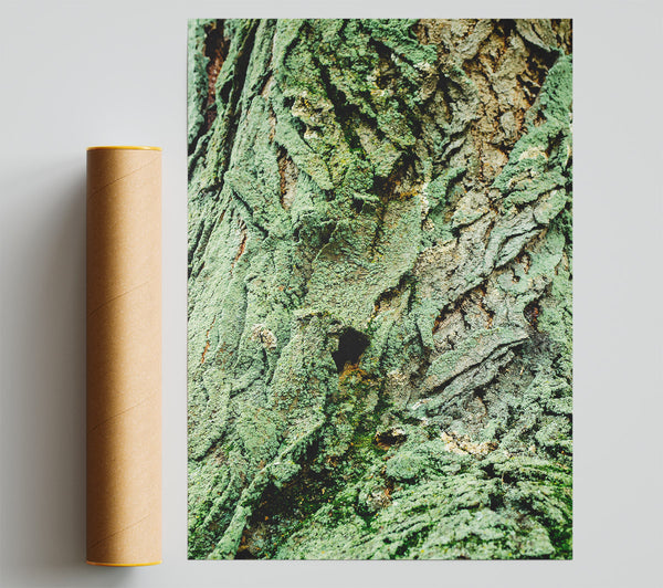 Emerald Bark Texture