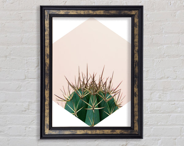 Cactus Spike