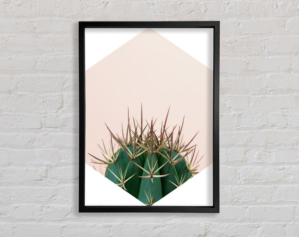 Cactus Spike