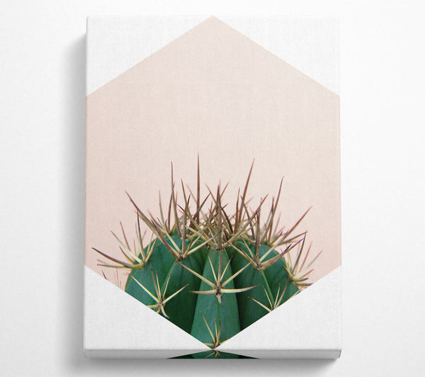 Cactus Spike