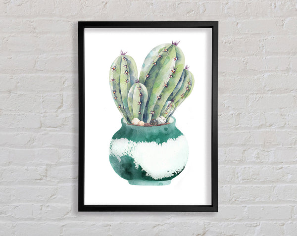 Cactus Watercolour