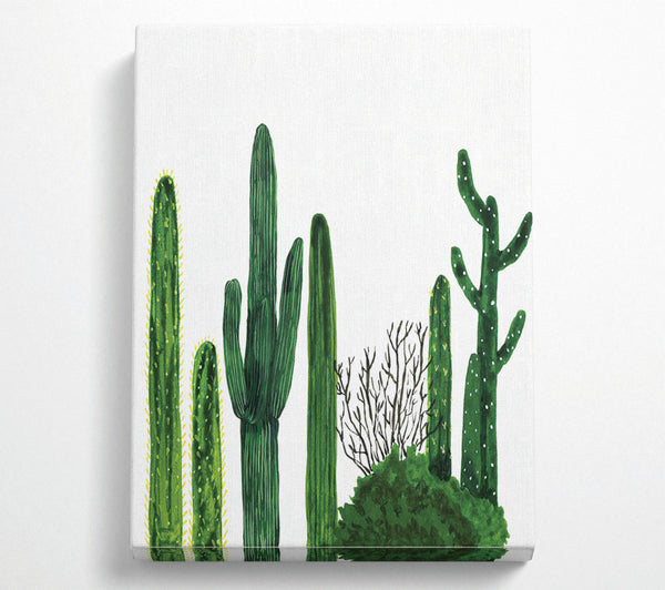 Cactus