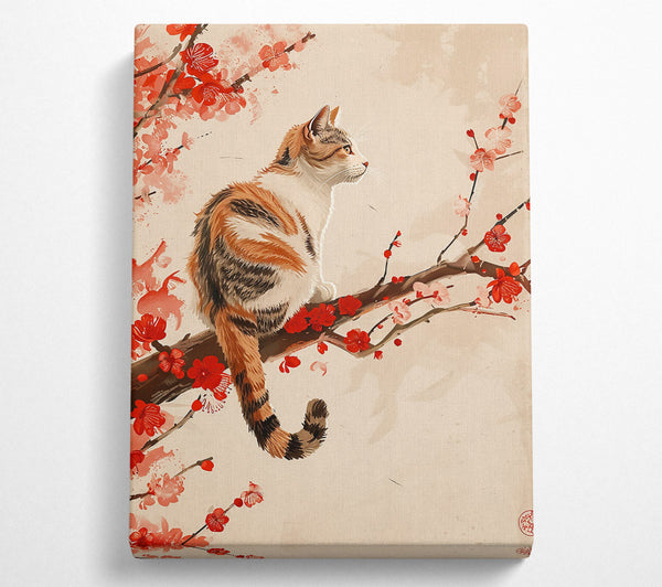 Red Blossom Cat