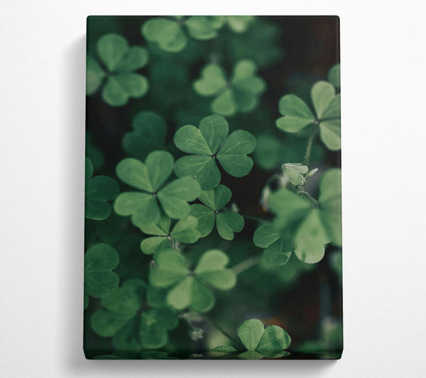 Emerald Green Clover Patch