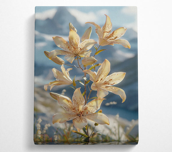 Creamy Mountain Lilies