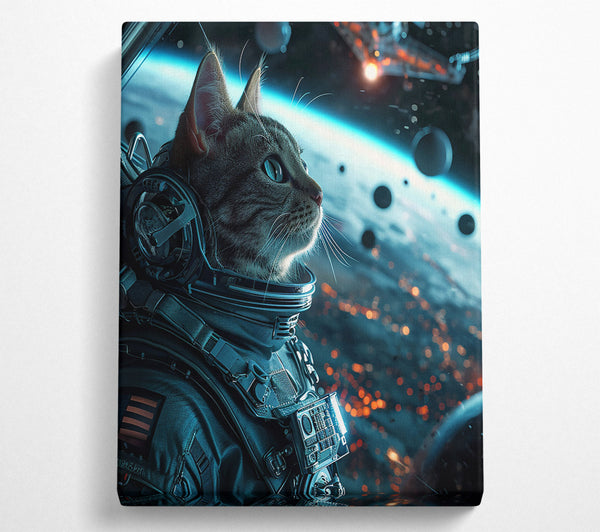 Cat Astronaught