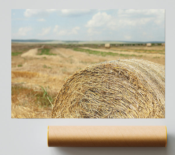 Golden Hay Roll