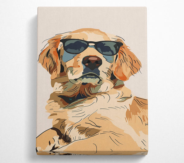 Golden Cool Dog