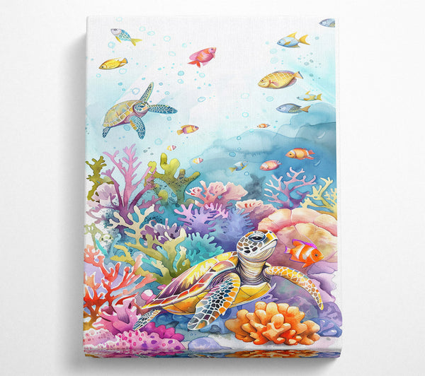 Coral Reef Turtle Dream