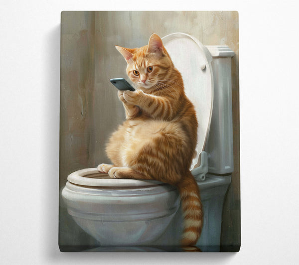 Cat Toilet Time