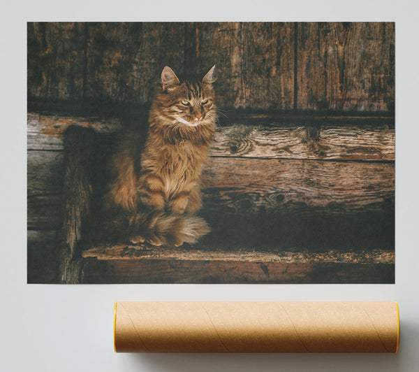 Golden Kitty On Wood