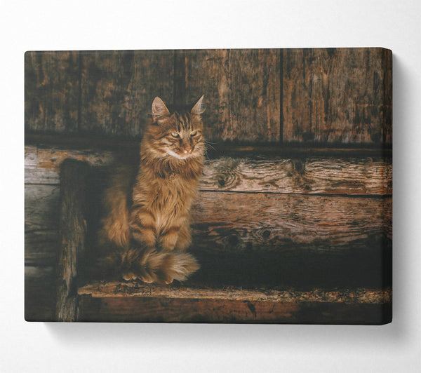 Golden Kitty On Wood