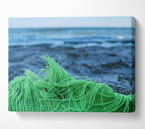 Green Sea Fringe