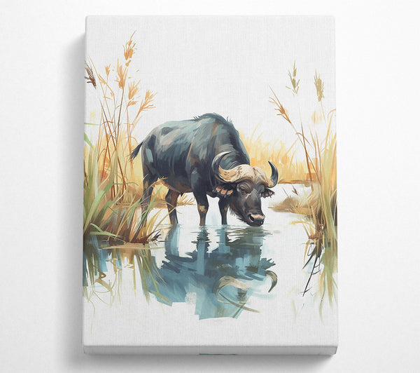 Blue Water Buffalo