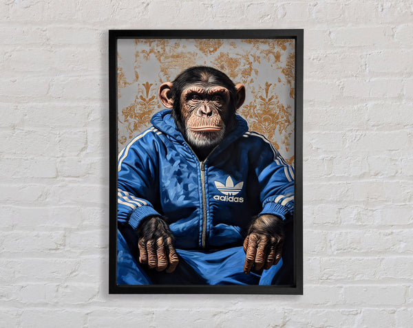 Chimp Tracksuit