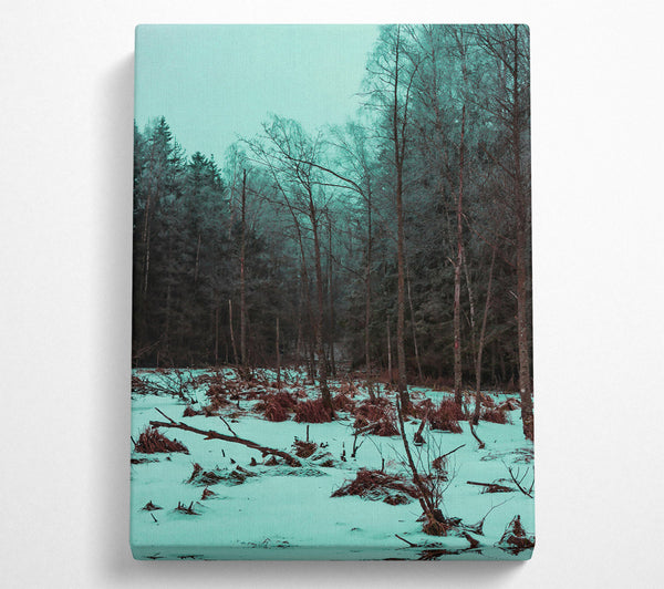 Teal Winter Forest