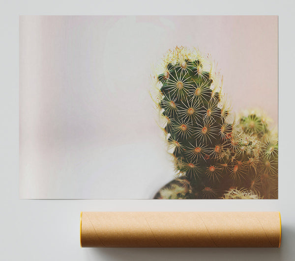 Green Cactus Bloom