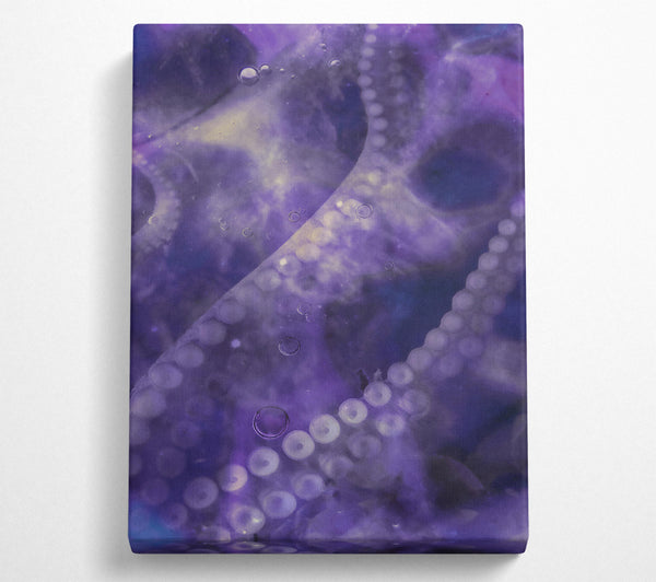 Purple Octopus Dream