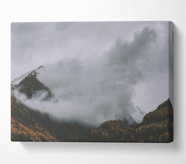 Gray Sky Mountain Mist