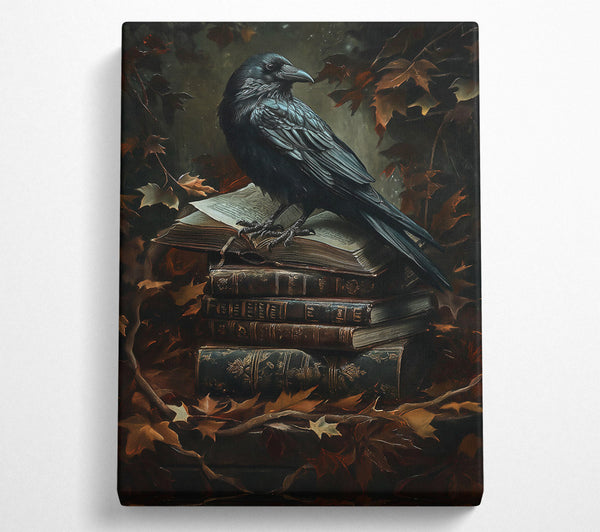 Black Raven And Old Books