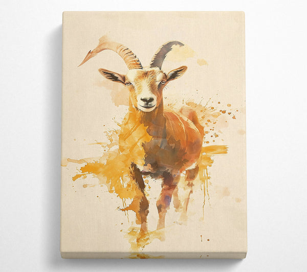 Golden Mountain Goat.