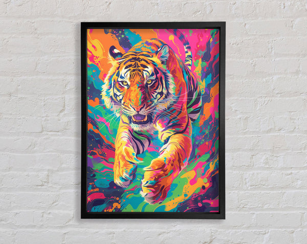 Colour Tiger