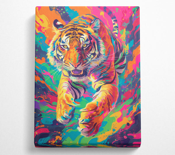 Colour Tiger