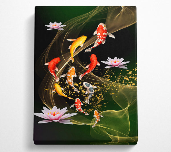 Coloured Koi Fish