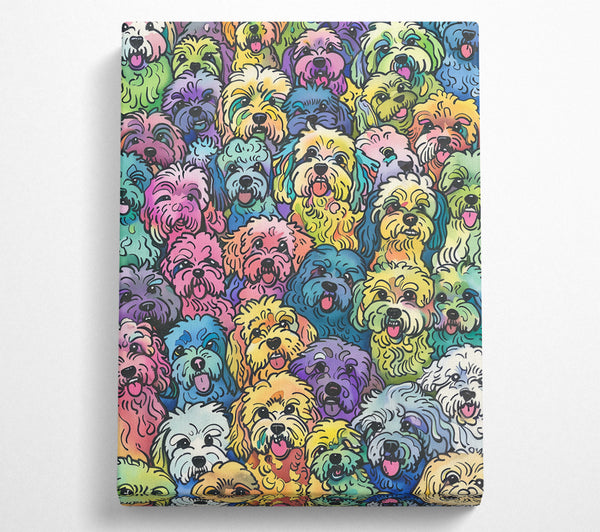 Colourful Dogs