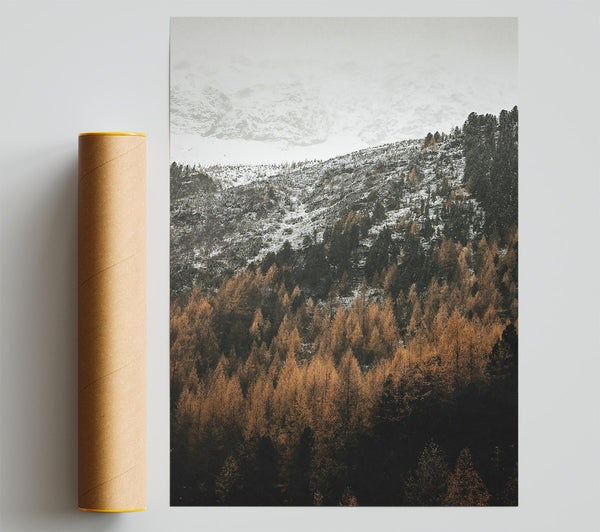 Golden Forest Peaks