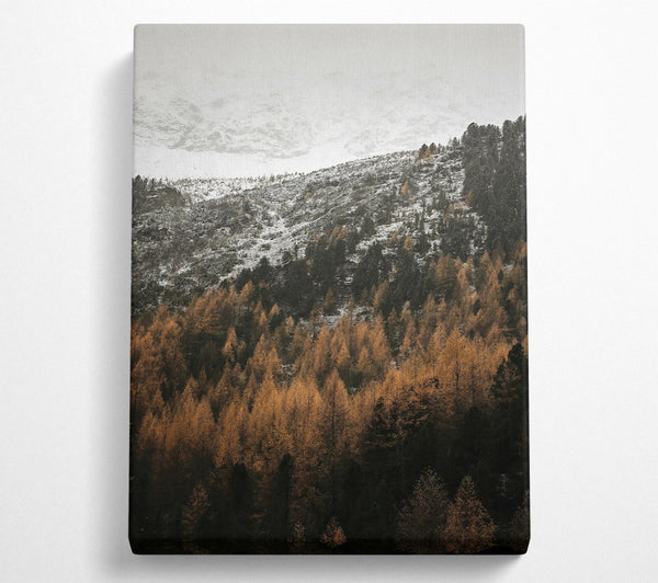 Golden Forest Peaks