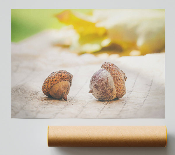 Brown Acorns On Linen