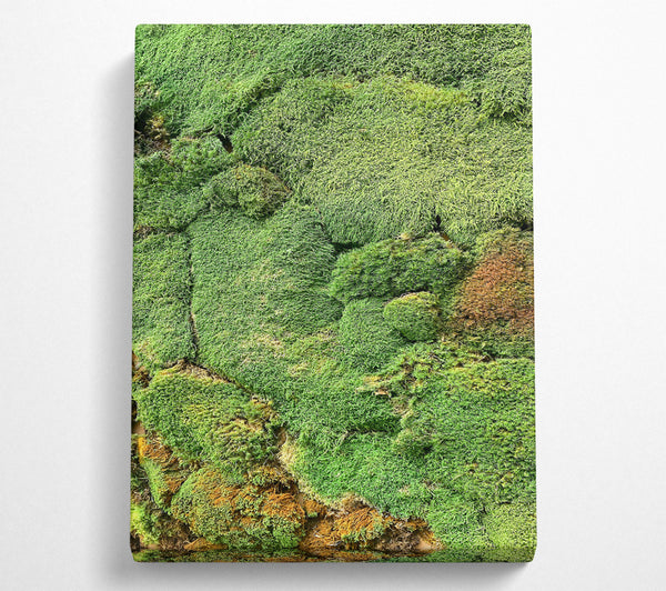 Emerald Moss Patches