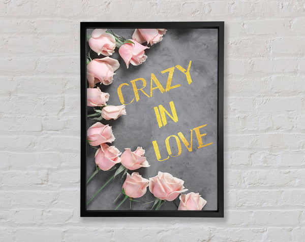 Crazy In Love  Pink Roses