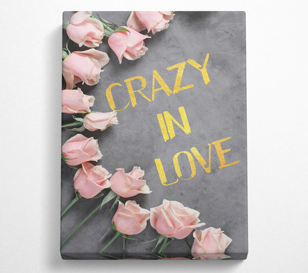 Crazy In Love  Pink Roses