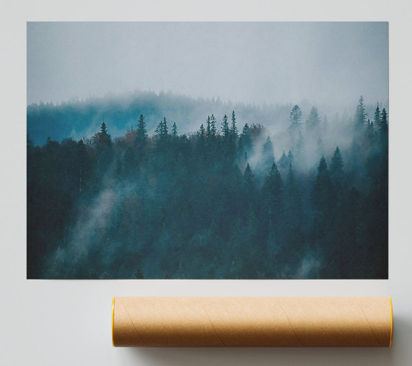 Teal Forest Mist