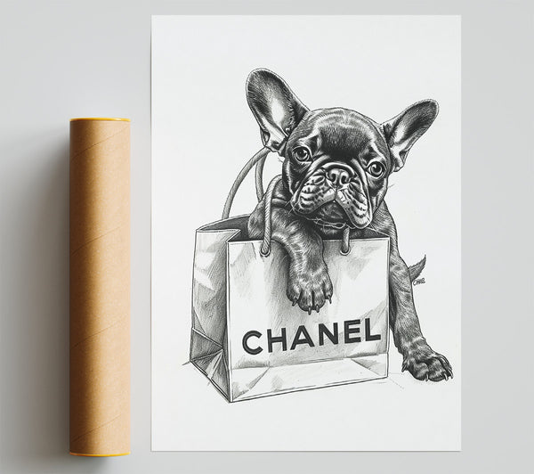 Black Frenchie In Chanel Bag