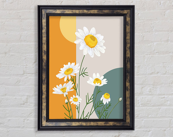 Daisies In Abstract