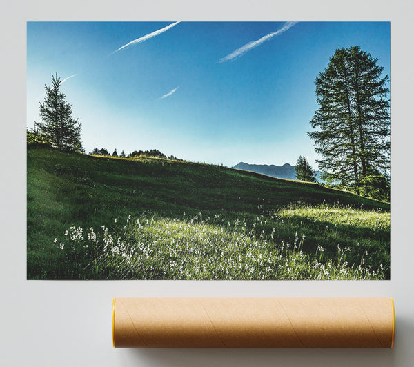 Blue Sky Meadow