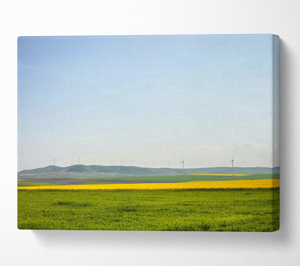 Green Fields And Yellow Windmills