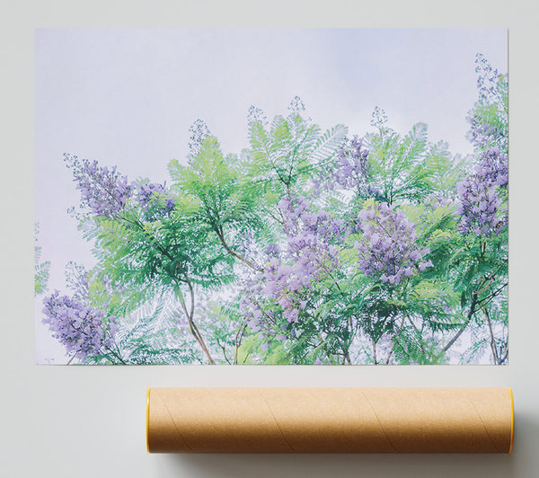 Lilac Canopy Dreams