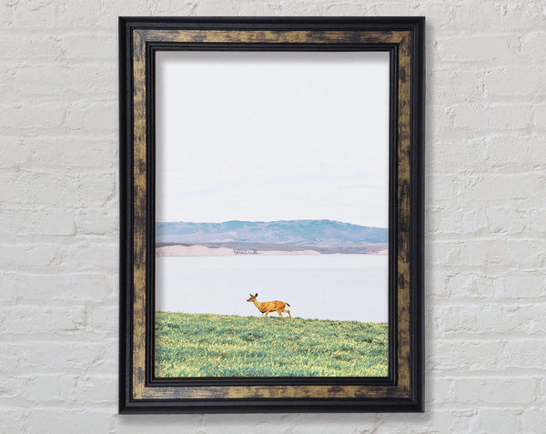 Deer With Lake Landscape