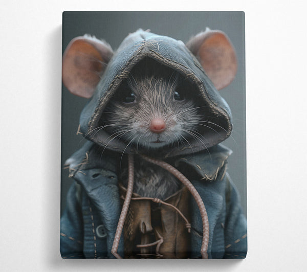 Blue Hooded Rat